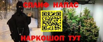 гидропоника Шахты
