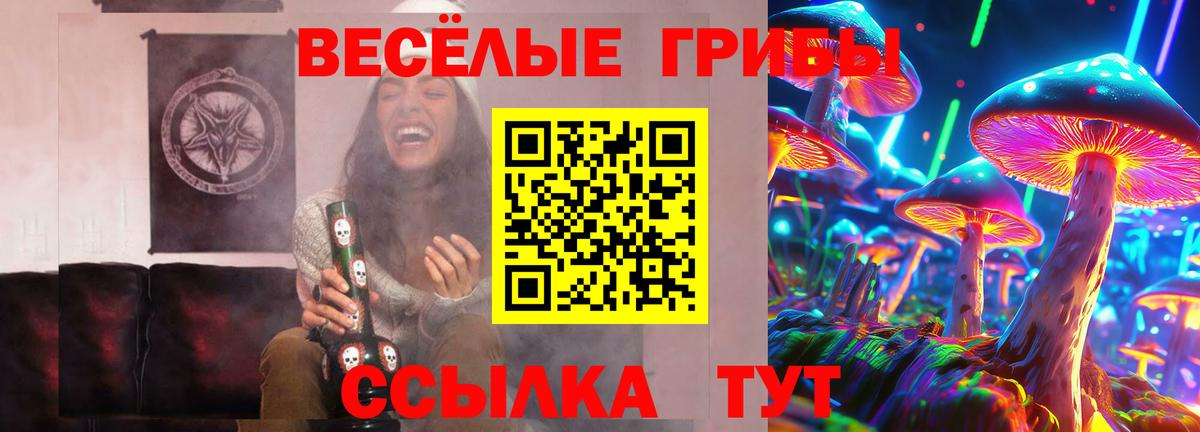 наркошоп  Вход с VPN  Алексеевка  Псилоцибиновые грибы MAGIC MUSHROOMS  Псилоцибиновые грибы Psilocybe 