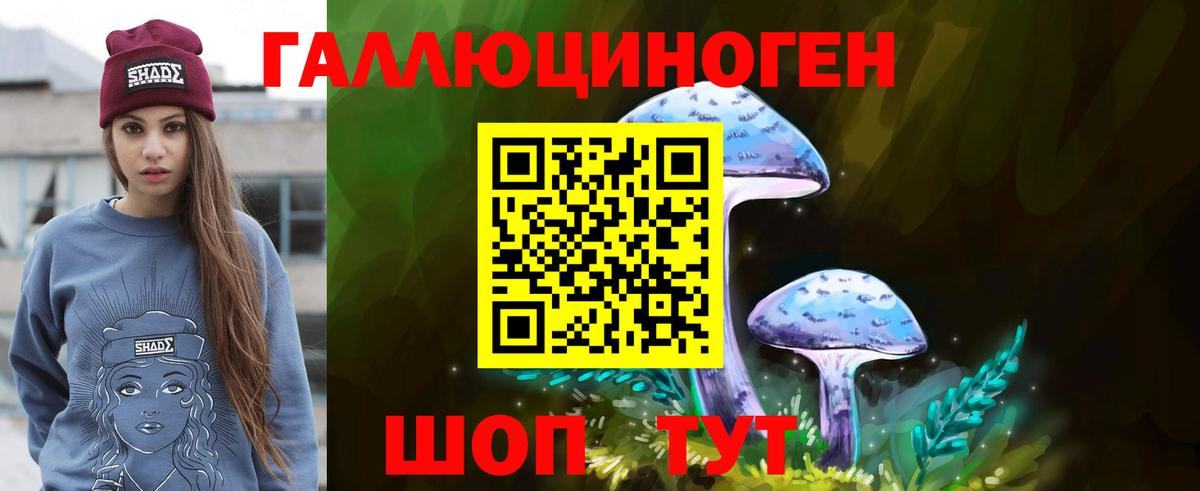 Галлюциногенные грибы GOLDEN TEACHER Алексеевка